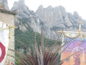 monserrat2012 328