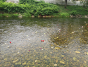 IMG_20240901_151830