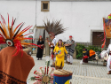 IMG_20241201_130911